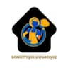 Domestique Dynamique